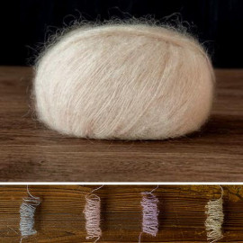 南非幼毛海 27.淺杏